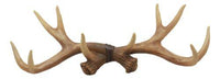 Brown Rustic 10 Point Stag Deer Antlers Rack Wall Plaque 17"Wide Coat Hooks