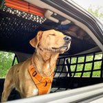 2010 - Newer Toyota 4Runner 5th Gen (N280) EZ Install Cargo Area Ceiling Attic Net